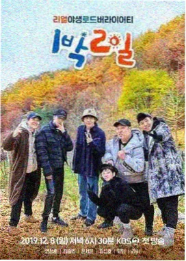 职场体验综艺